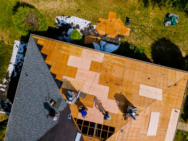 Best Metal Roofing Contractor  in Wood River, IL