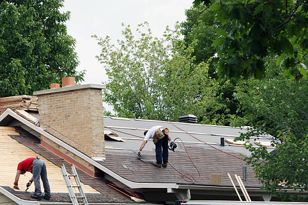 Best Roof Gutter Cleaning  in Wood River, IL